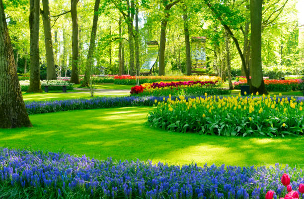 istock fresh lawn with flowers 1282349748