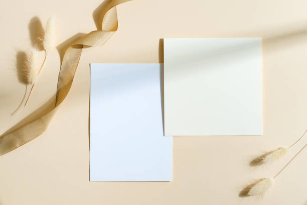istock Paper cards decorated dry grass and ribbon with shadows. 1282349844