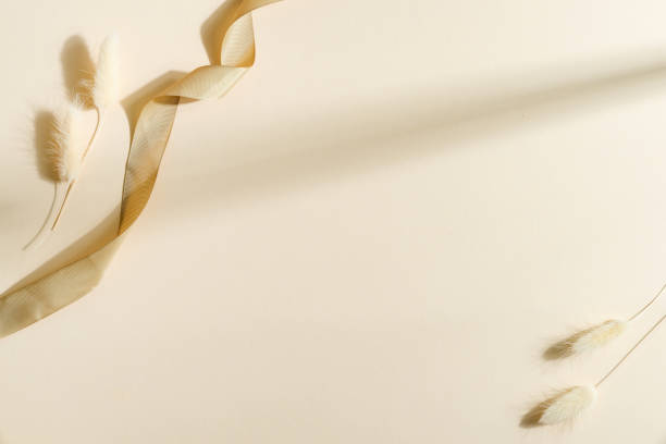 istock Decorative background with dried plant and textile ribbon 1282350013