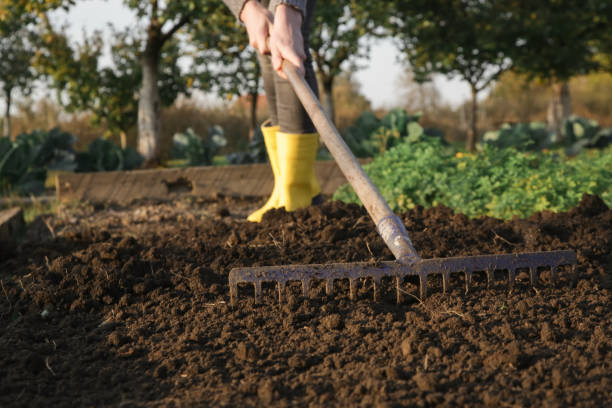 Woman in yellow rubber boots working in garden with rake leveling ground. Soil preparation for seeding and planting, garden tools, gardening, rake, soil, outdoor work concept. Woman in yellow rubber boots working in garden with rake leveling ground. Soil preparation for seeding and planting, garden tools, gardening, rake, soil, outdoor work concept. rake stock pictures, royalty-free photos & images