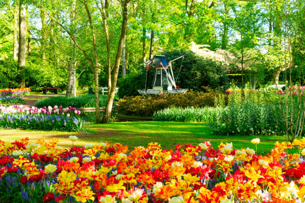 istock Tulips and bluebell flowerbed 1282350098