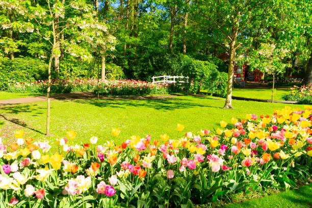 istock fresh lawn with flowers 1282350662