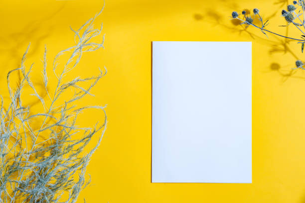 istock Decorative frame with dry plants and mock up paper card. 1282350669