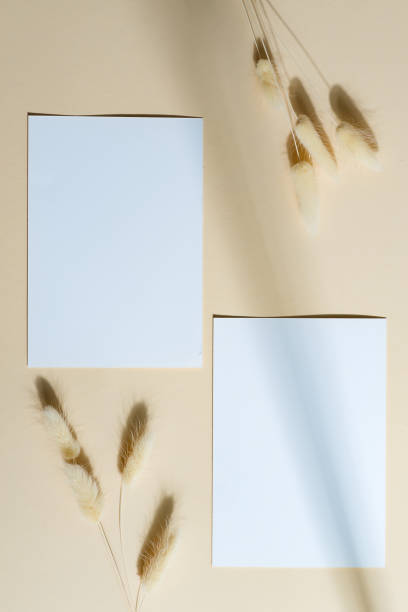 istock Mockup paper cards with shadow on a beige background. 1282350851
