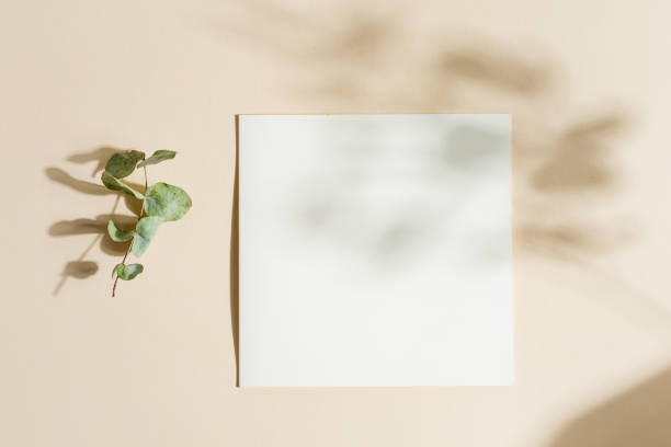 istock Blank paper card attached pegs hans on a rope with leaf. 1282351400