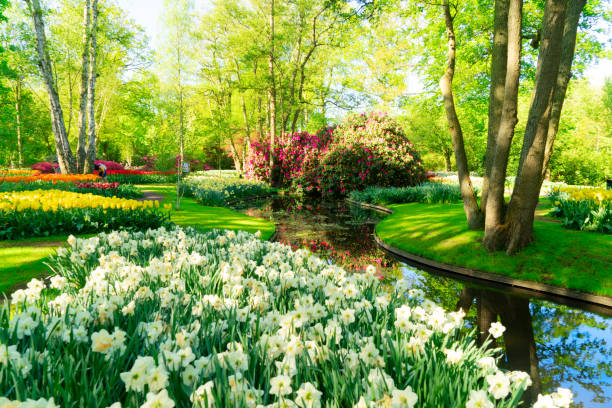 istock fresh lawn with flowers 1282351524