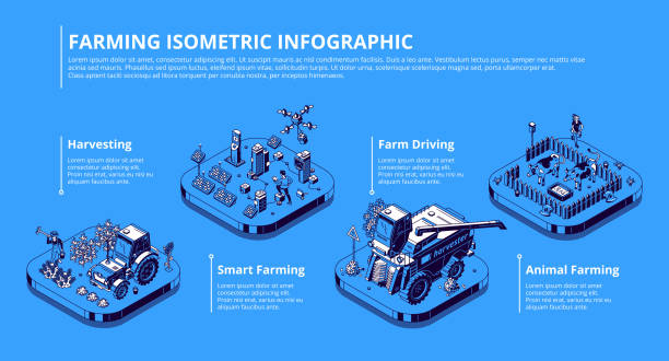 Vector isometric infographic of smart farming Smart farming infographic. Agriculture technologies and innovations for growing plants and livestock. Vector isometric illustration of modern field with solar panels, tractor, combine and drone precision agriculture stock illustrations
