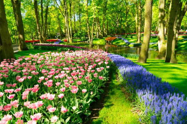 istock fresh lawn with flowers 1282354952