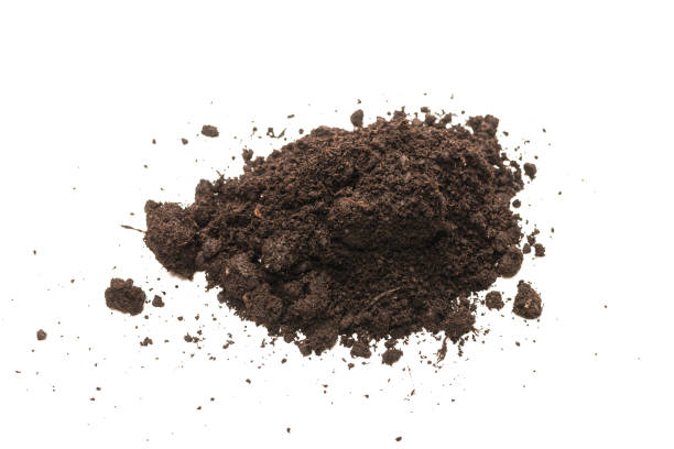 istock Black land for plant. 1282356923