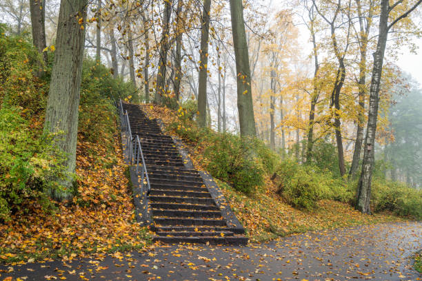 istock Beautiful autumn park 1282357483