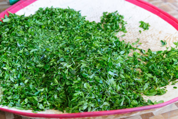 istock Fresh tea leaves are collected in baskets for further processing. selective focus 1282357612