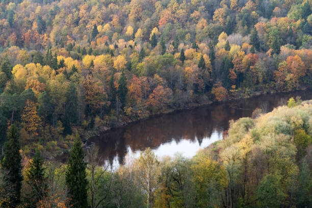Autumn river Gauja in Sigulda, Latvia. Landscape with reflection