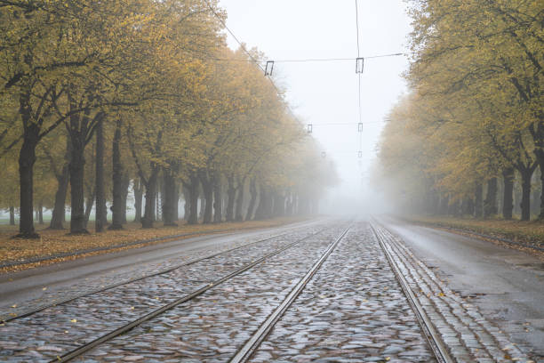 Autumn landscape. Riga, Latvia