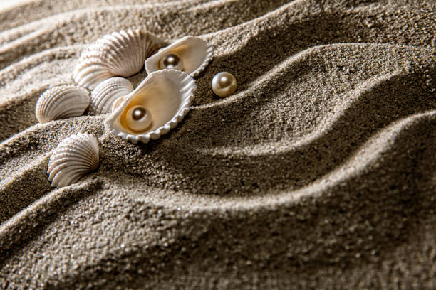 Summertime textured background with white star fish and red glass pebbles on the white sand.