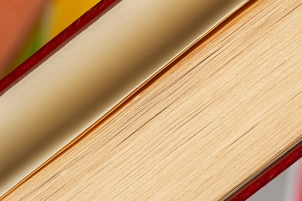 Book with open book cover close-up, top view from the butt, selective focus. Education, school, reading concept
