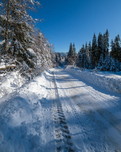 drugorzędna wiejska droga alpejska do odległej górskiej osady przez zaśnieżony las jodły, zaspy śnieżne i drewniane ogrodzenie na poboczu drogi - footpath european alps fence woods zdjęcia i obrazy z banku zdjęć