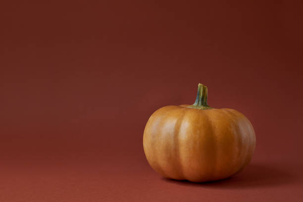 istock Pumpkin on a terracottas paper background 1282363793