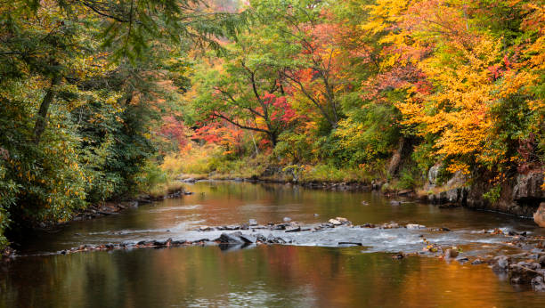 istock Fall colors along creek in Hickory Runs State Park 1282365181