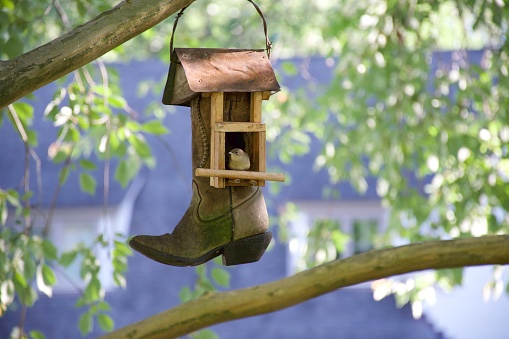 An image of an old handmade wooden birdhouse perched high on a pole and away from cats.