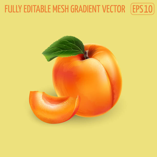 istock Ripe whole apricot and slice on a yellow background. 1282366616