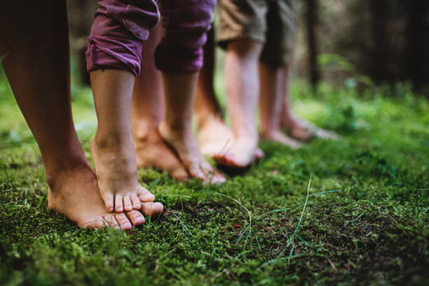 Bare feet of family with small children standing barefoot outdoors in nature, grounding concept. Bare feet of family with small children standing barefoot outdoors in nature, grounding and forest bathing concept. forest bathing photos stock pictures, royalty-free photos & images