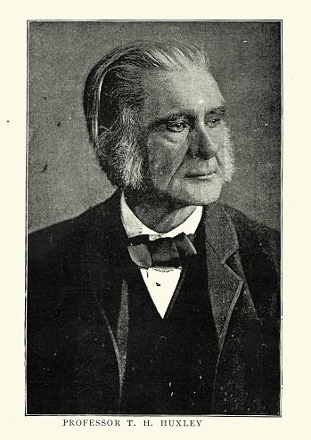 Vintage photograph of Thomas Henry Huxley an English biologist and anthropologist specialising in comparative anatomy. He is known as Darwin's Bulldog for his advocacy of Charles Darwin's theory of evolution.