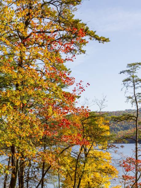 istock Colorful Trees And Blue Lake 1282368880