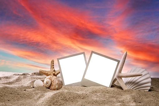 Beach Polaroid Photos Surrouned by Seashells in the Sand at Sunset