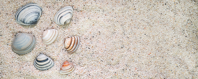 Different colored Sea shell and sea stars arranged in shapes on sand.
