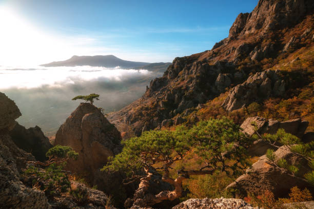 istock Autumn landscape in the mountains 1282371632