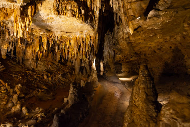 洞窟の塚 - 3659 ストックフォトと画像