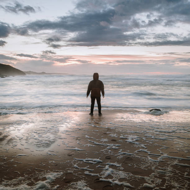 istock Rear view of a person standing on a beach at sunset 1282372928