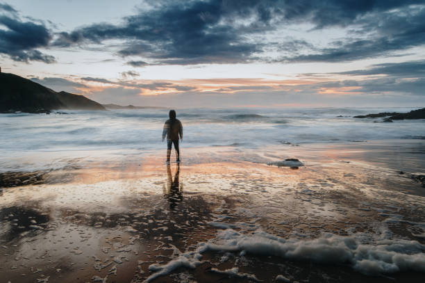 istock Rear view of a person standing on a beach at sunset 1282373032