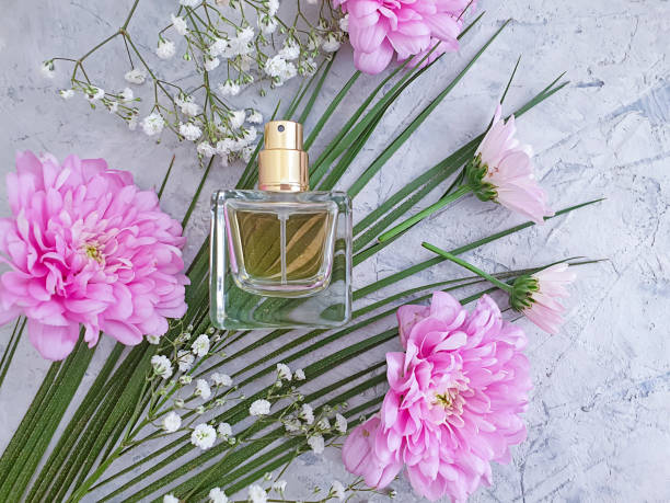 istock bottle perfume flower on a concrete background 1282373233