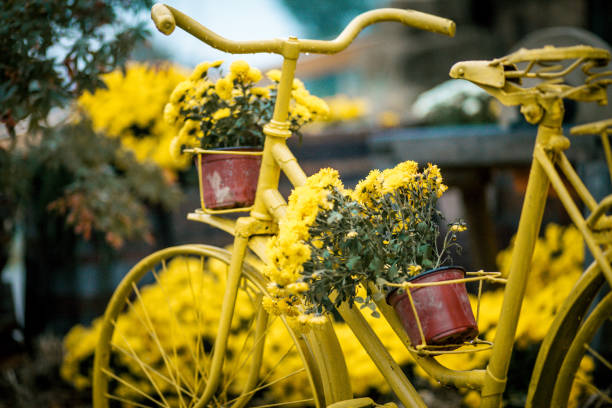 istock Vibrant yellow bicycle with flowers 1282374140