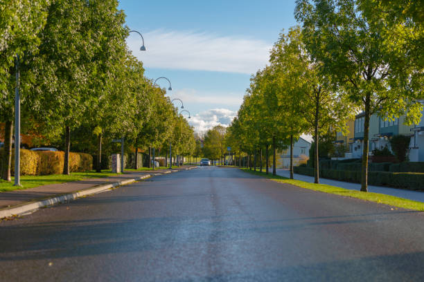 istock Low view of a street after rain.. 1282375182
