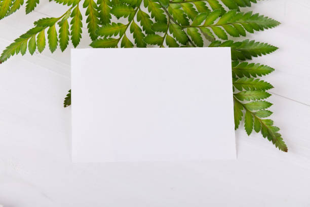 istock Greenery empty card mock up for wedding invitation, greeting card, place card 1282375359