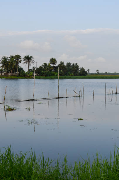 Ebrié Lagoon Ebrié Lagoon in Grand-Bassam, Ivory Coast. ivory coast landscape stock pictures, royalty-free photos & images