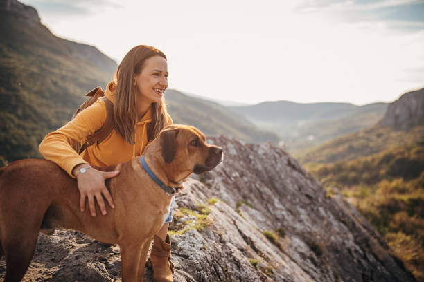 istock Woman hiker with her dog on mountain peak 1282376394