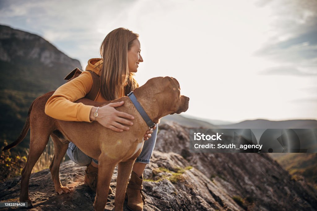 Woman hiker with her dog on mountain peak One woman, female hiker and her dog on mountain peak on a sunny day. Dog Stock Photo
