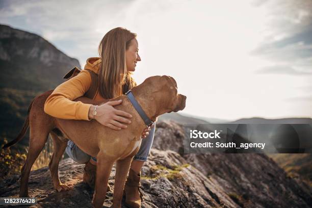 Woman Hiker With Her Dog On Mountain Peak Stock Photo - Download Image Now - Dog, Hiking, Women
