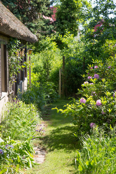 istock Footpath between cottage and plants in the garden 1282376644