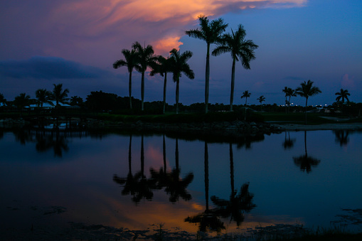 Blue Hour Over The Lake and Palms