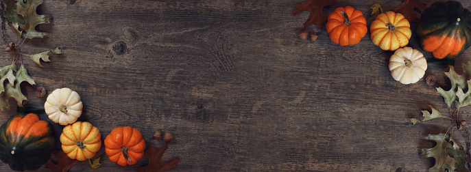 Fall Thanksgiving pumpkins, leaves, acorn squash border over rustic dark wood table background shot from directly above, horizontal with copy space