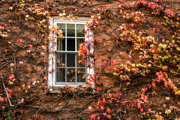 istock A window in the autumn 1282380500