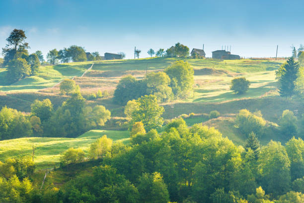 Nature landscape of pasture country hills with fog mist on green trees