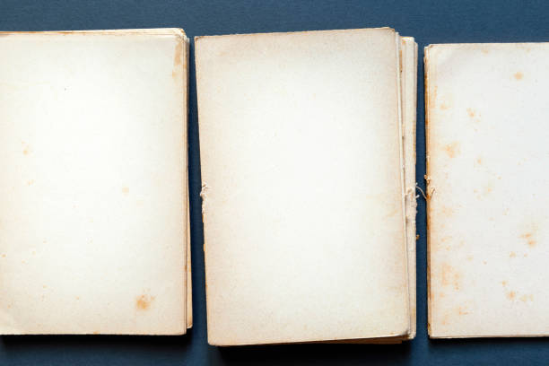 istock Yellowed pages of old book, close-up 1282382530