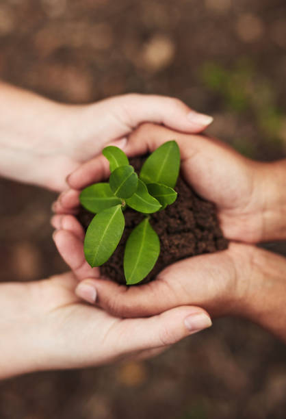 istock We’re playing for the green team 1282388324
