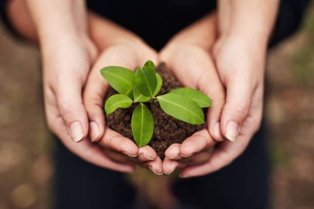 istock Go green to save the green 1282388329