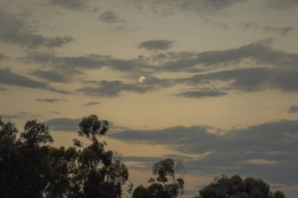 istock Panoramic sunset view from a farm in Australia 1282388574